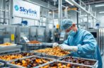 Why Skylink Imports Is the Best Quality Dry Fruits Importer in the USA