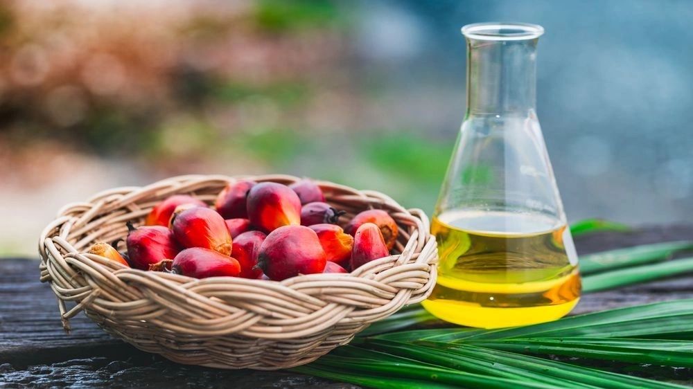 Global Palm Oil Market Trends