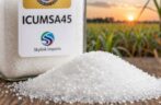 Top ICUMSA45 Sugar In The World | Reliable Imports & Exports Services
