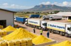Reliable & The Best Sulphur Granules Supply Chain for South Africa.