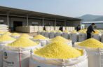 Skylink Imports – Reliable & The Best Sulphur Granules Supply to China.