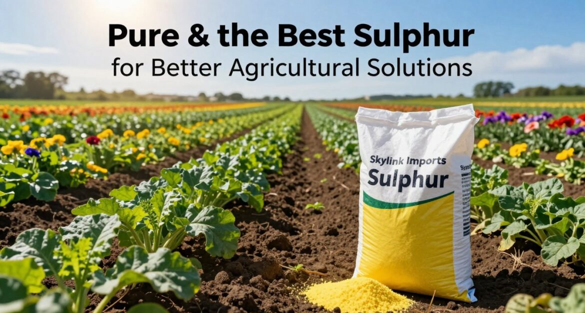 Pure & The Best Sulphur for Better Agricultural Solutions | Skylink Imports