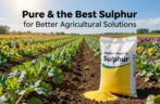 Pure & The Best Sulphur for Better Agricultural Solutions | Skylink Imports.