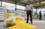 Expert & The Best Sulphur Granules Supplier in Qatar | Genuine & Reliable.